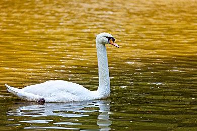 传闻：《羊蹄山之魂》预算费用仅6000万美元