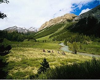 《双人成行》NS版发布新预告 11月4日正式发售